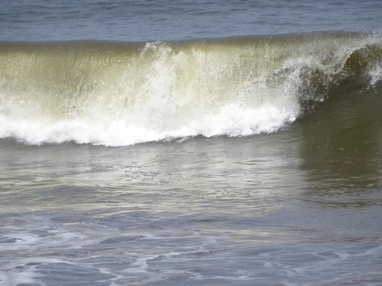 Amssler Beach Stay 卡卢特勒 外观 照片