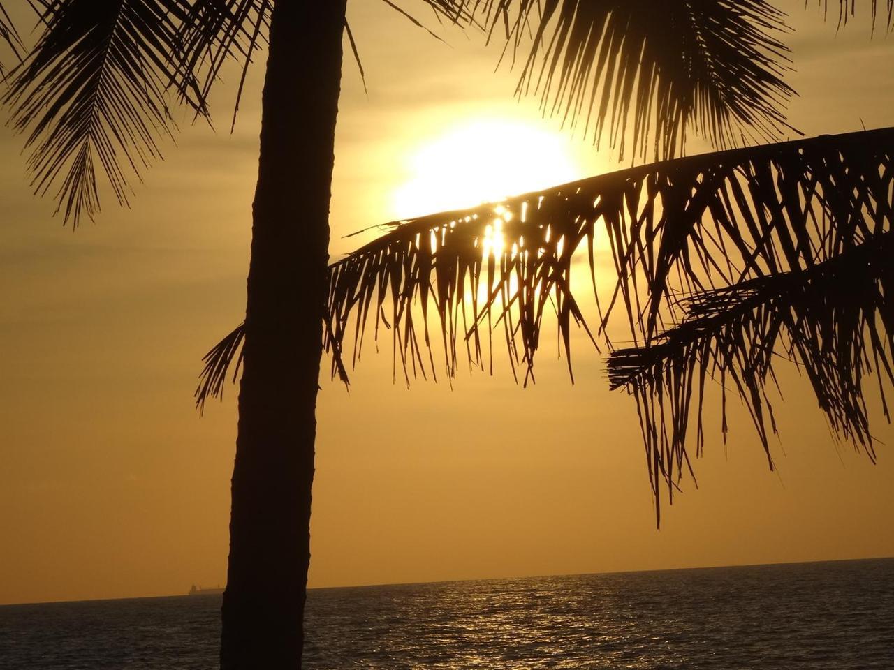 Amssler Beach Stay 卡卢特勒 外观 照片