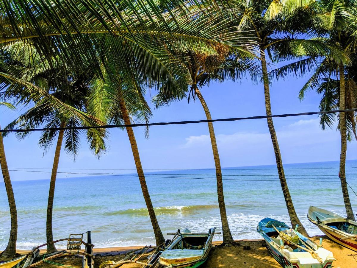 Amssler Beach Stay 卡卢特勒 外观 照片